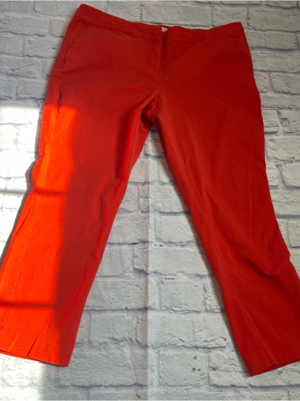 New York & Company Cropped Pants